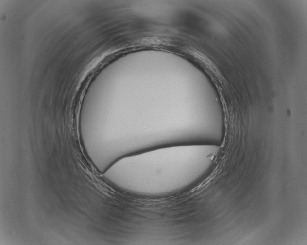 X0000067851023200604130914