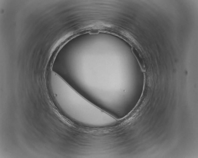 X0000067851026200604130914