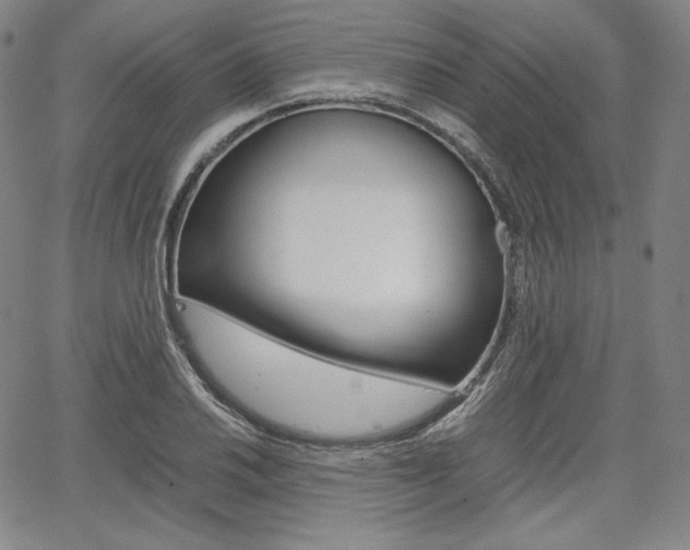 X0000067851030200604130914