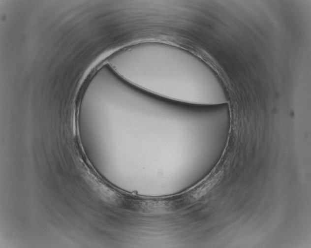 X0000067851036200604130914