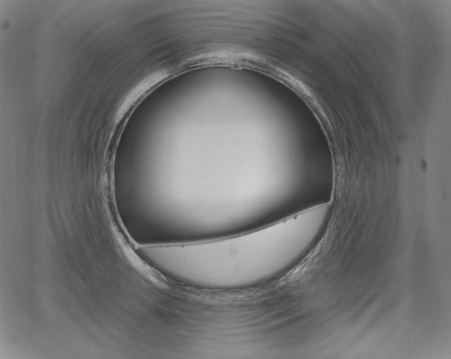 X0000067851042200604130914