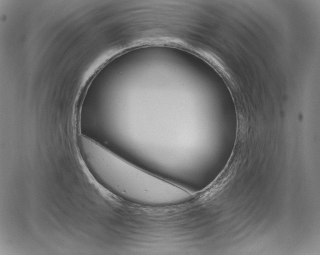 X0000067851046200604130914