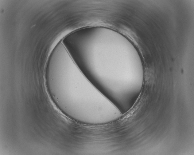 X0000067851048200604130914