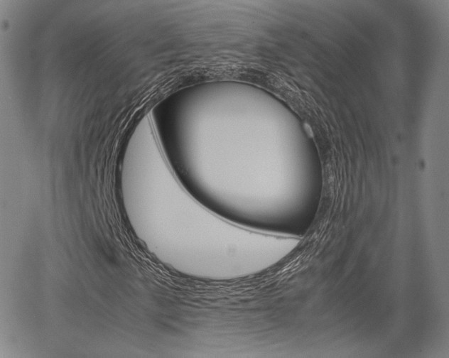 X0000067851057200604130914