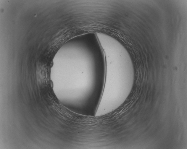 X0000067851058200604130914