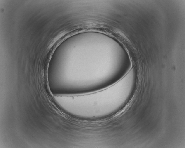 X0000067851065200604130913