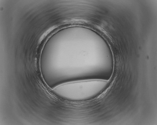 X0000067851066200604130913
