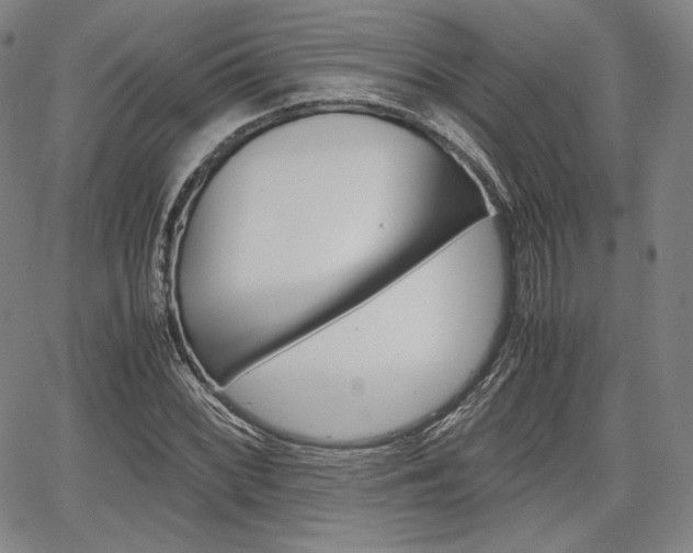 X0000067851068200604130913