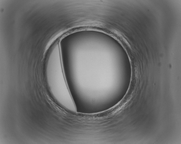 X0000067851069200604130913