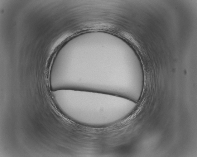 X0000067851071200604130913