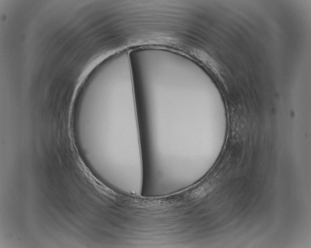 X0000067851072200604130913