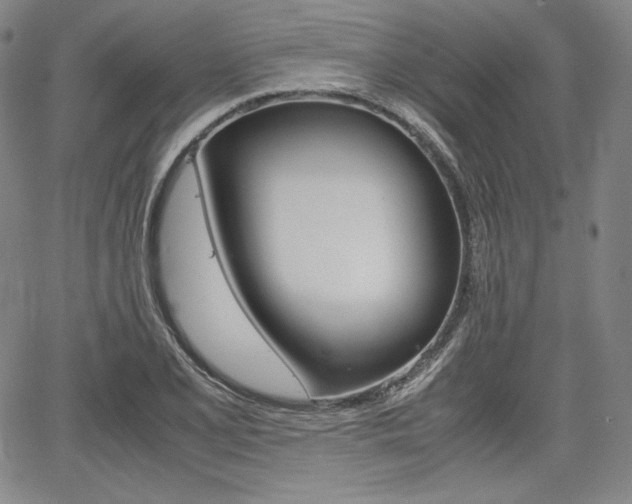 X0000067851077200604130913