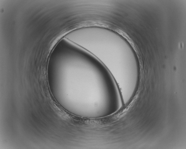 X0000067851089200604130913