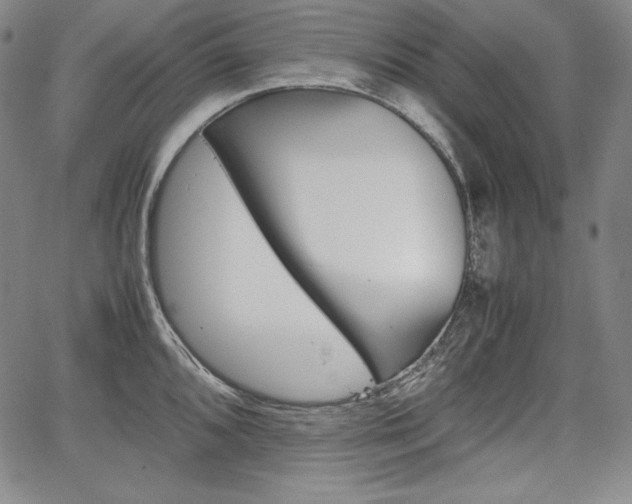 X0000067851096200604130913