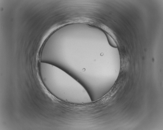 X0000067851099200604130913