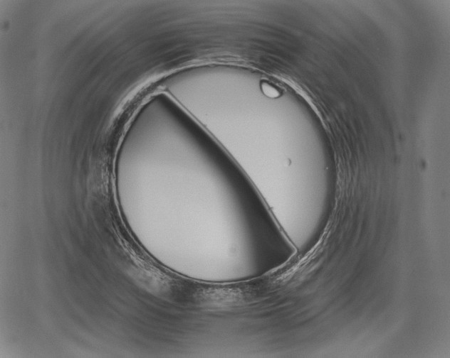 X0000067851115200604130912