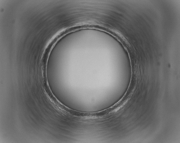 X0000067851118200604130912
