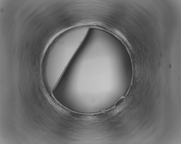 X0000067851124200604130912