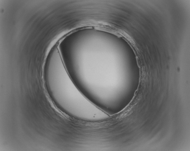 X0000067851128200604130912