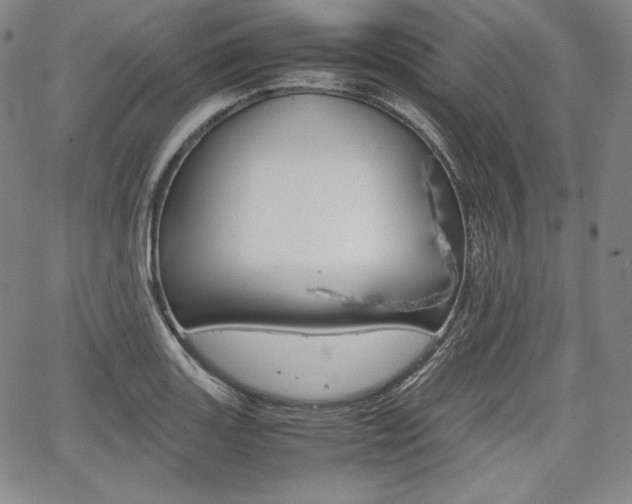 X0000067851131200604130912