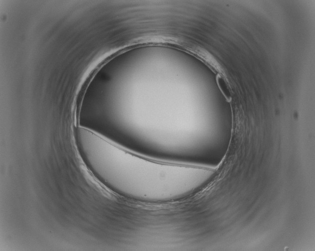 X0000067851132200604130912