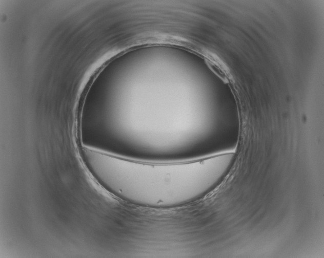 X0000067851136200604130913