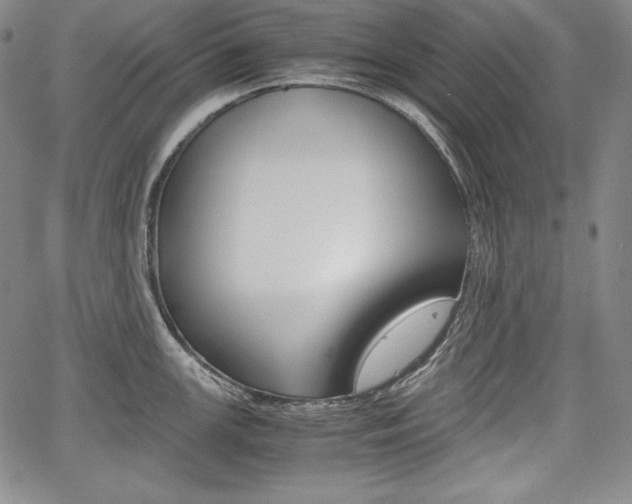 X0000067851147200604130913