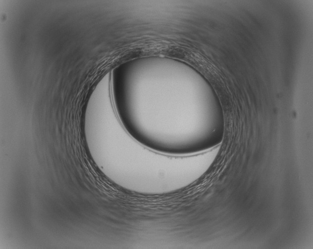 X0000067851153200604130912
