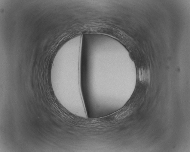 X0000067851155200604130912