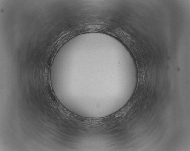 X0000067851158200604130912