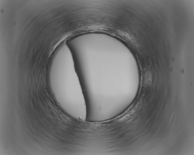 X0000067851162200604130912