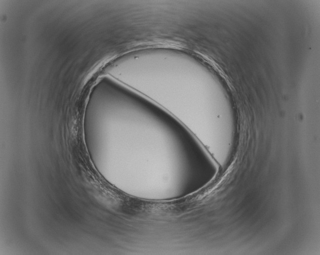 X0000067851163200604130912