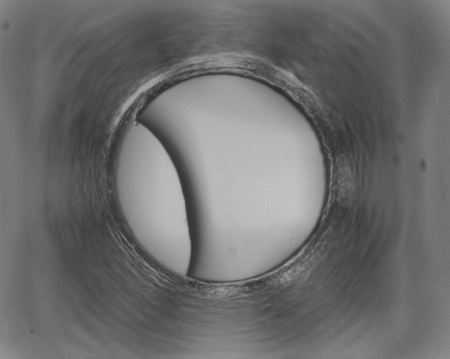 X0000067851166200604130912