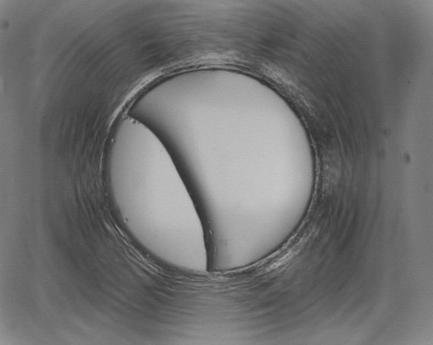 X0000067851170200604130912