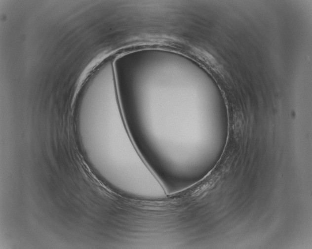 X0000067851172200604130912