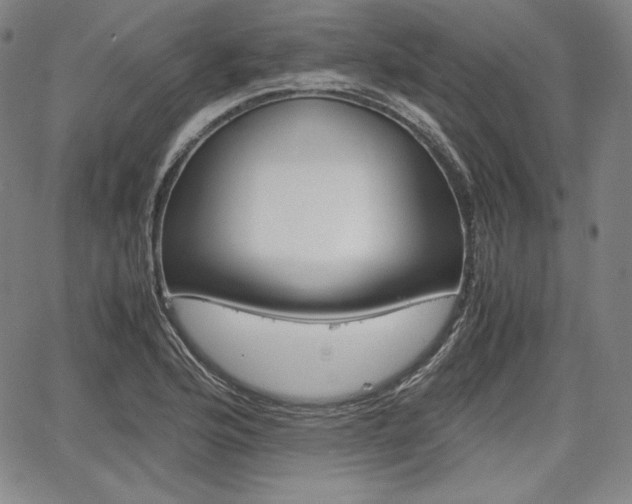 X0000067851176200604130912