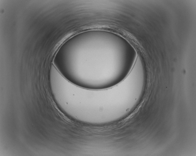 X0000067851177200604130912