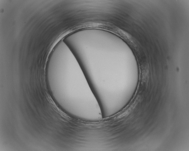X0000067851178200604130912