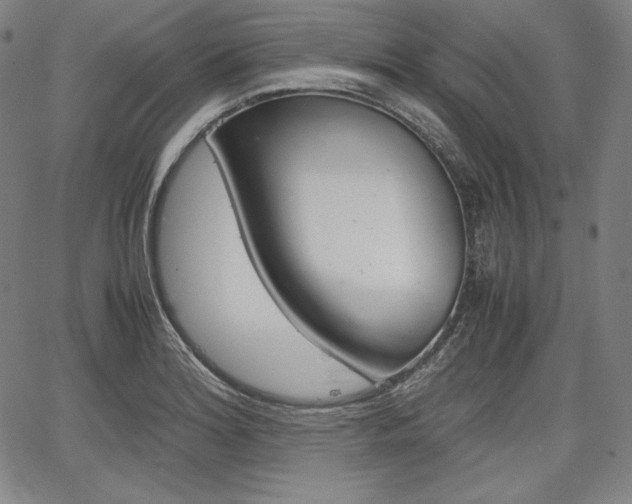 X0000067851180200604130912