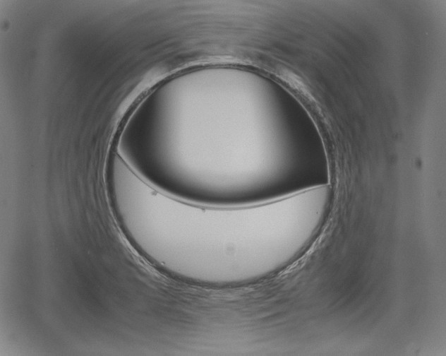 X0000067851181200604130912