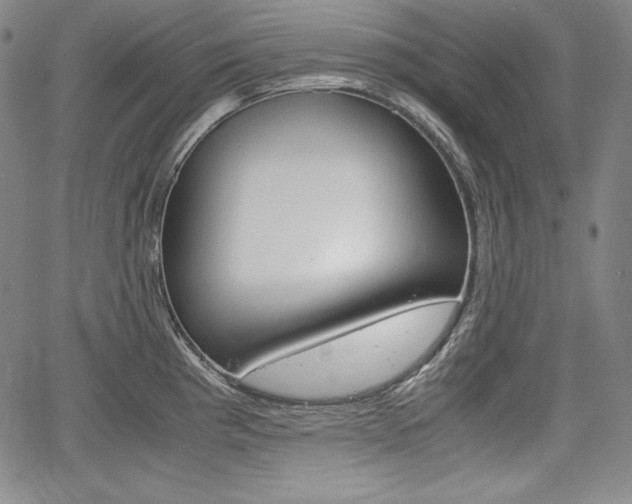 X0000067851193200604130911