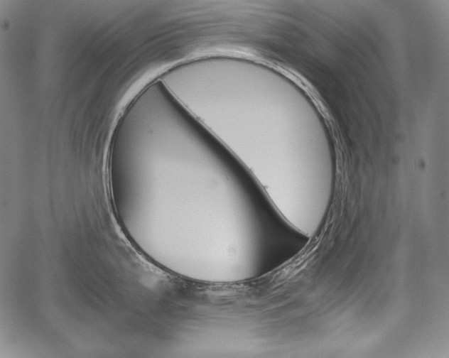 X0000067851199200604130911