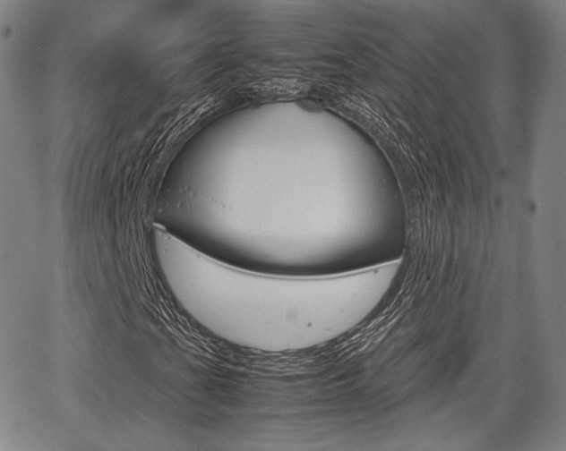 X0000067851201200604130910