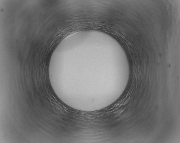 X0000067851202200604130910