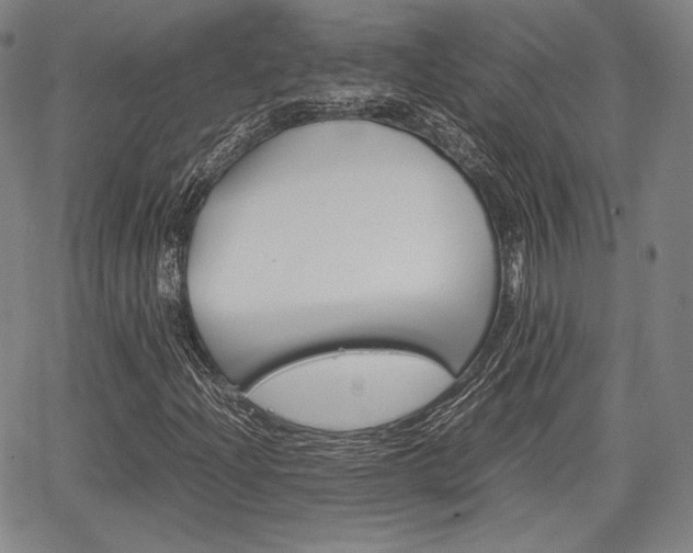 X0000067851204200604130911
