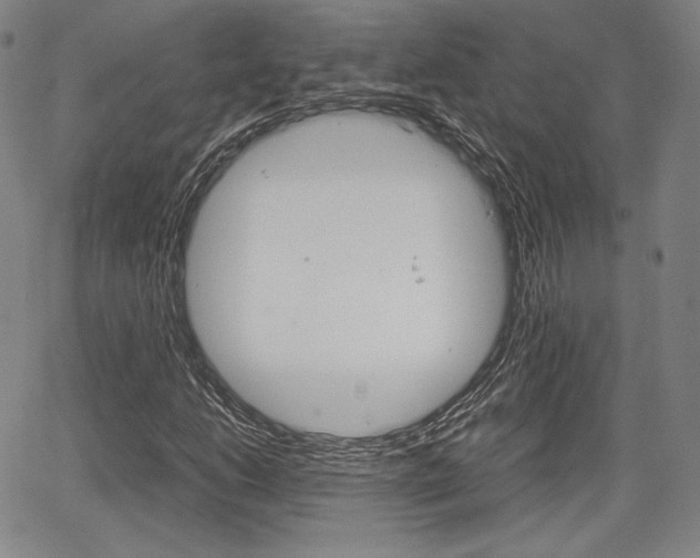 X0000067851206200604130911