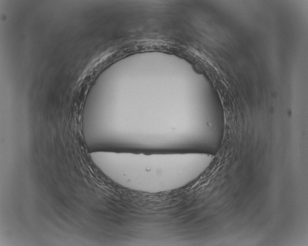 X0000067851207200604130911