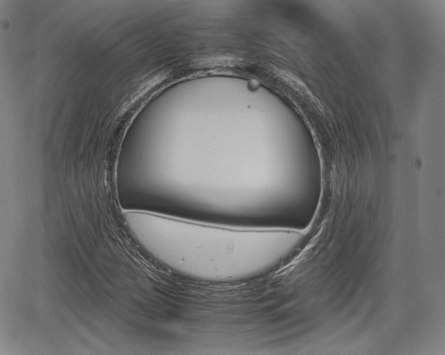 X0000067851209200604130911