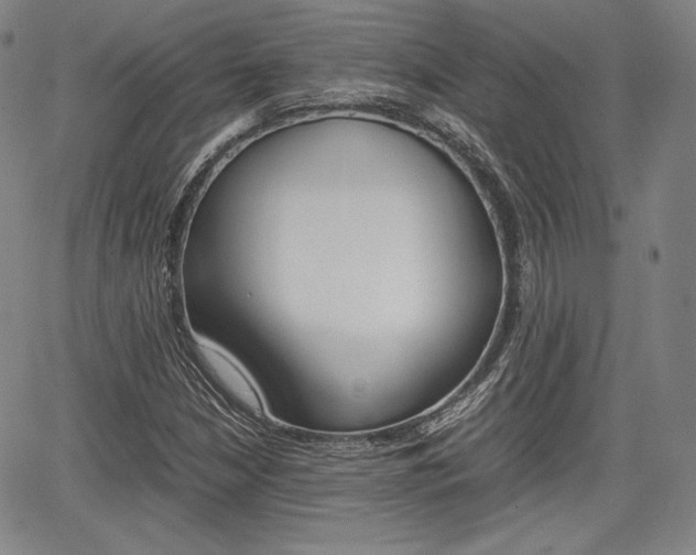 X0000067851210200604130911