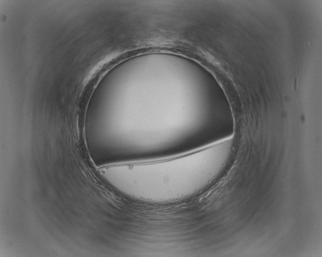 X0000067851214200604130911